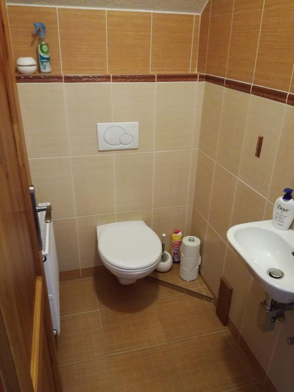 Apartman U Kovaru Kasperske Hory Eksteriør billede
